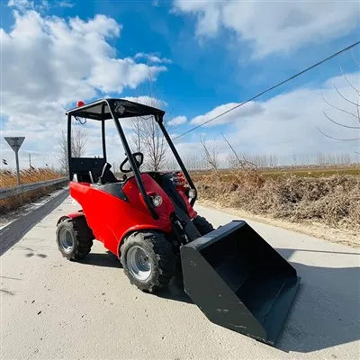 20 কিলোওয়াট পেট্রল ইঞ্জিন লোডার প্রস্তুতকারক